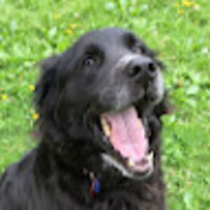 Meet your Posher, Elias